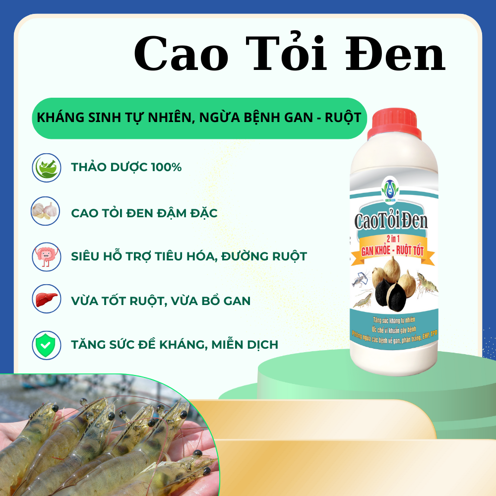 CAO TỎI ĐEN